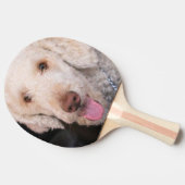 ファジー 卓球ラケット (横)