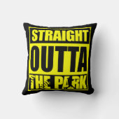 ファストピッチソフトボールが公園をストレートで出る クッション (裏面)