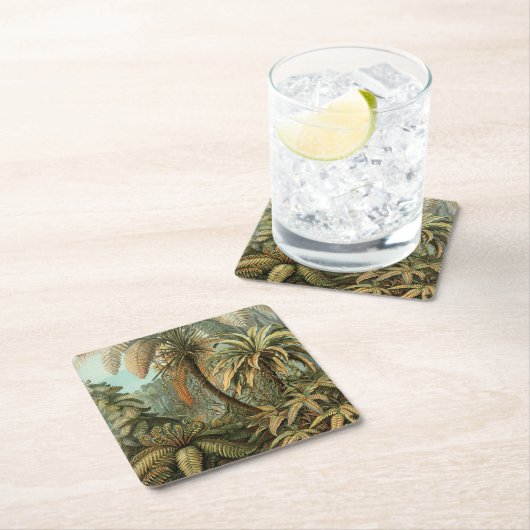 ファズパームツリーアンティークボタニカルファンドアート スクエアペーパーコースター (インサイチュ)
