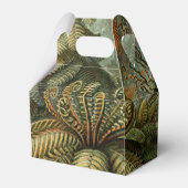 ファズパームツリーアンティークボタニカルファンドアート フェイバーボックス (裏面サイド)