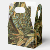 ファズパームツリーアンティークボタニカルファンドアート フェイバーボックス (オープン)