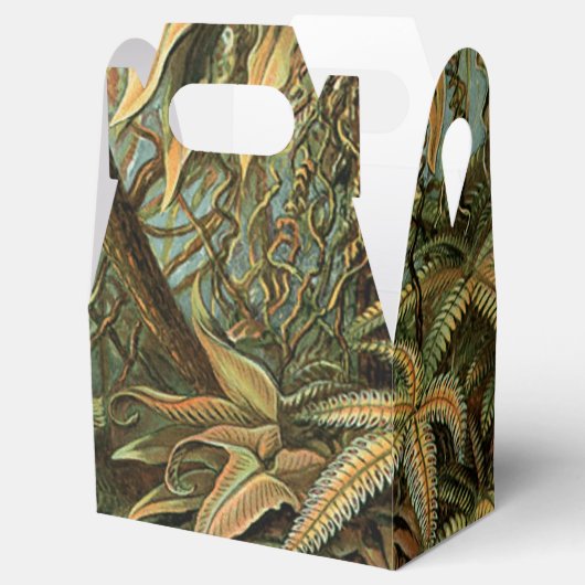 ファズパームツリーアンティークボタニカルファンドアート フェイバーボックス (オープン)