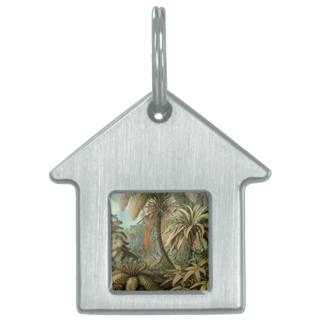 ファズパームツリーアンティークボタニカルファンドアート ペットネームタグ (正面)