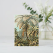 ファズパームツリーアンティークボタニカルファンドアート ポストカード (スタンド正面)