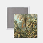 ファズパームツリーアンティークボタニカルファンドアート マグネット (正面/裏面)