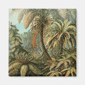 ファズパームツリーアンティークボタニカルファンドアート マグネット (正面)