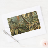 ファズパームツリーアンティークボタニカルファンドアート 長方形シール (封筒)