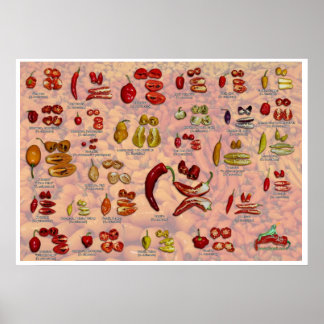 ファタリのチリ・ペッパーを割れ！ ポスター