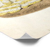 ファッションプレート ポスター (角)