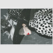 ファッション用品 薄葉紙 (正面)