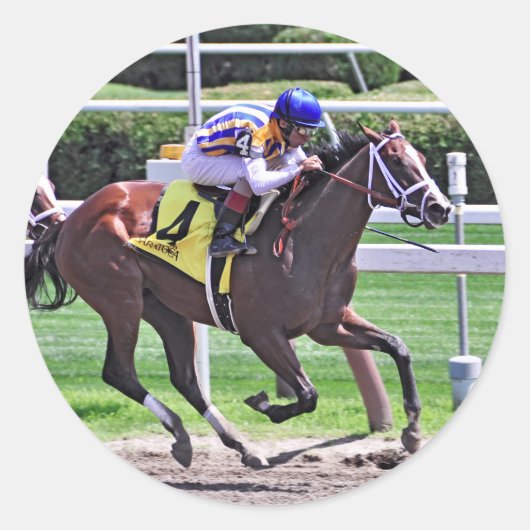 ファッション警報がシュイラービルを勝利 ラウンドシール (正面)