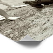 ファッション警察 ポスター (角)