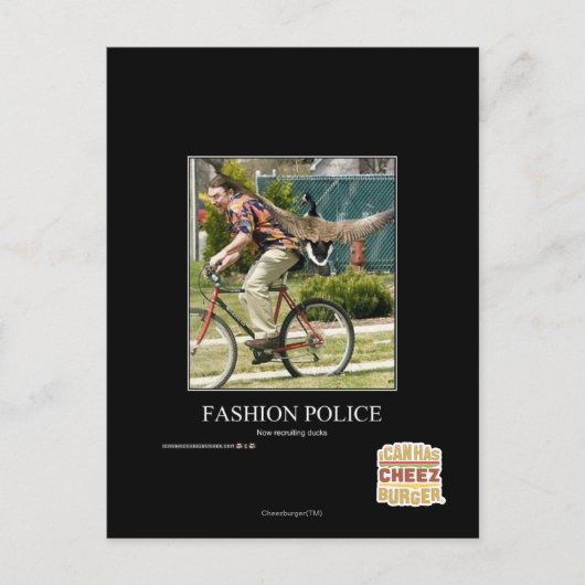 ファッション ポストカード (正面)