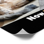 ファットキャットテイスティストックミームポスター ポスター (角)