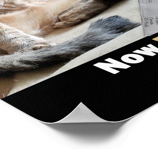 ファットキャットテイスティストックミームポスター ポスター (角)