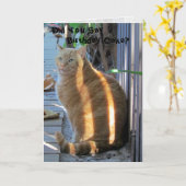 ファットキャット誕生日カード カード (黄色い花)