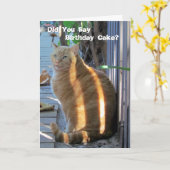 ファットキャット誕生日カード – レッツパーティー! カード (黄色い花)