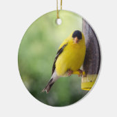 ファットフィンチ セラミックオーナメント (左)