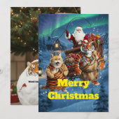 ファット・タイガー・ザ・ジンジャー・キャットのホリデートラブル - 猫 R 招待状 (正面/裏面)