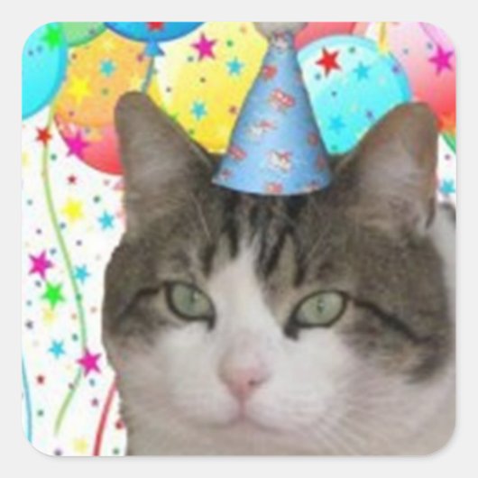 ファトボーイ・バブシュカ誕生日パーティーステッカー スクエアシール (正面)