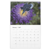 ファニエ風変わりゾウ雑種2025カレンダー カレンダー (2月 2027)