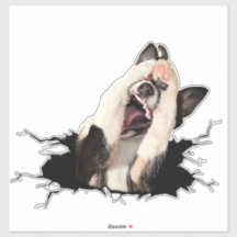 ファニードッグ顔シール