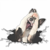 ファニードッグ顔シール シール (正面)