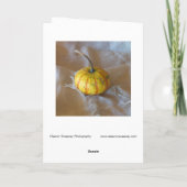 ファブリック上でデジタル変更された「かぼちゃ」 カード (裏面)