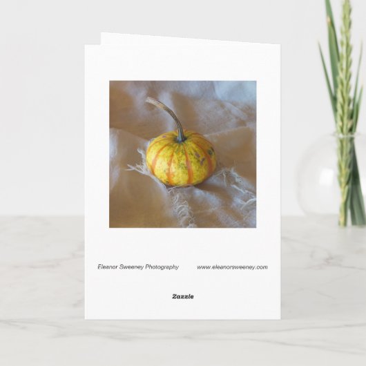 ファブリック上でデジタル変更された「かぼちゃ」 カード (裏面)