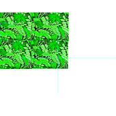 ファブリック – フローラ4 (タイル)