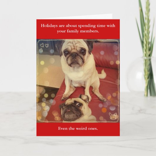 ファミリーウィルドス シーズンカード (正面)