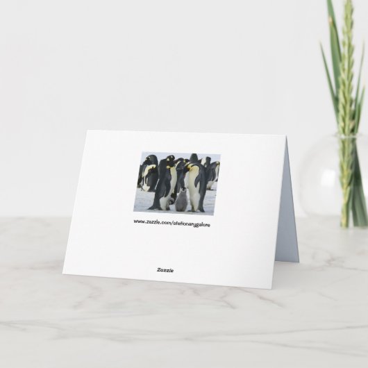 ファミリーエンペインギグリーティングカード シーズンカード (裏面)