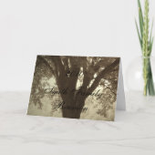 ファミリーツリー懇親会招待状 招待状 (正面)