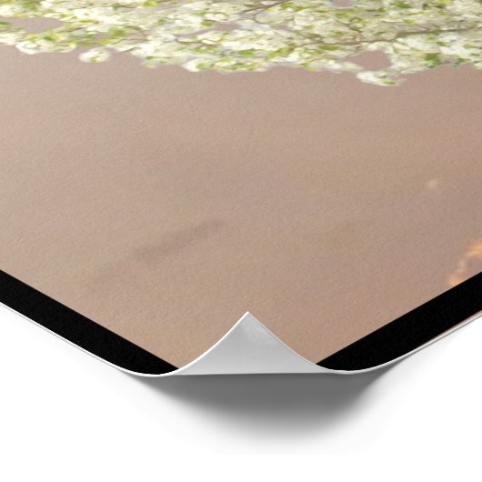 ファミリーツリー白い花の木の写真 |日の入 ポスター (角)