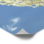 ファミリーツリー白い開花木の写真 | Blue Sky ポスター (角)