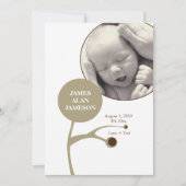 ファミリーツリー (正面)