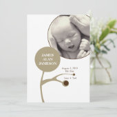 ファミリーツリー (スタンド正面)