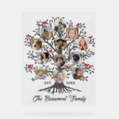 ファミリーツリー12フォトコラージュの名前をカスタムすると日付 アクリルサイン (正面)