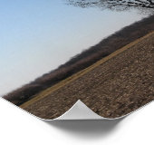 ファミリーツリー ポスター (角)