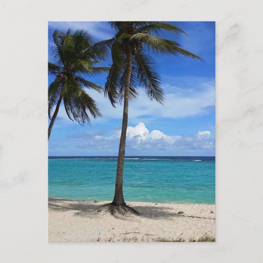 ファミリートリップビーチバケーショングアドループカリブの ポストカード (正面)