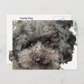 ファミリードッグはがき ポストカード (正面/裏面)