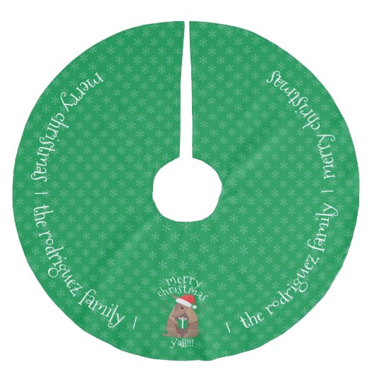 ファミリーネームサンタギフト与えズアルマジロテキサス州 ブラッシュドポリエステルツリースカート (正面)