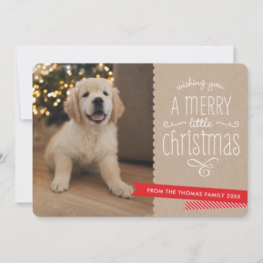 ファミリーペットモダンおもしろいお洒落タイポグラフィ シーズンカード (正面)