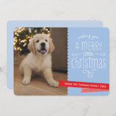 ファミリーペットモダンお洒落タイポグラフィ赤い青 シーズンカード (正面/裏面)