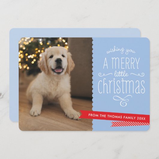 ファミリーペットモダンお洒落タイポグラフィ赤い青 シーズンカード (正面/裏面)