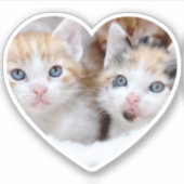 ファミリーペット写真ハートの形 シール (正面)