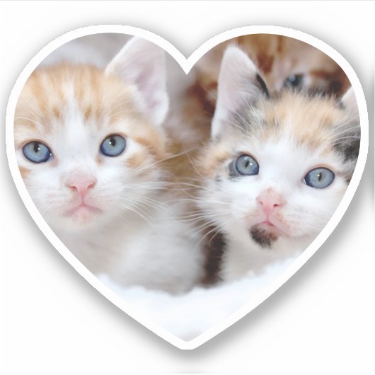 ファミリーペット写真ハートの形 シール (正面)