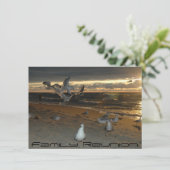 ファミリー懇親会オンザビーチシーガル夕べサンセット 招待状 (スタンド正面)