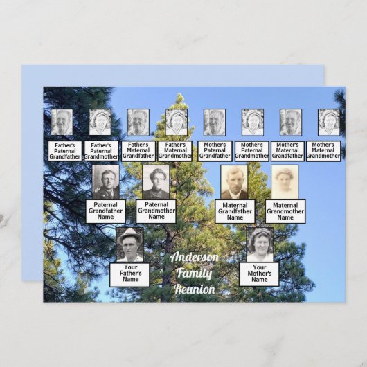 ファミリー懇親会ファミリーツリーパインツリーフォレスト 招待状 (正面/裏面)