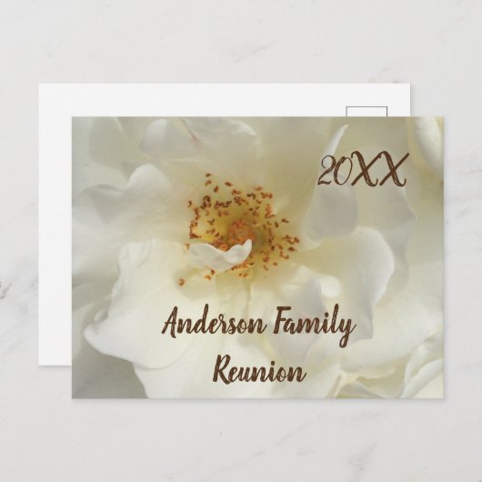 ファミリー懇親会ホワイトローズフォトフローラ招待状 ポストカード (正面/裏面)